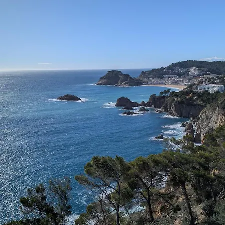 Voramar - A 50 m De La Playa, Parking Y A/a Apartment *